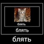 zxKilz's Avatar'