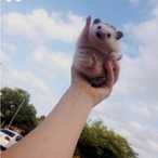 smegster22111's Avatar'