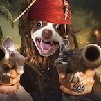 Captain_Bubz's Avatar'