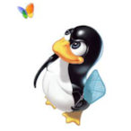 jolla-bunga's Avatar