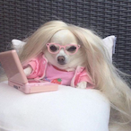 Azura_Flower's Avatar'