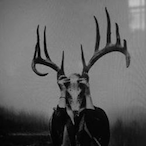 sn1ck3rrs's Avatar'