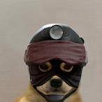 Aris.JL's Avatar'