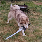 Sword_Doge's Avatar'