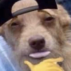 drippy_steak's Avatar'