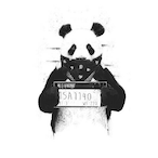 La_RaNa_LoCa_79's Avatar'