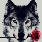 Am1tttt's Avatar'