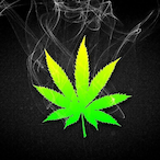 Mgfr6's Avatar'