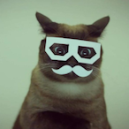 Oiiiiicant's Avatar'