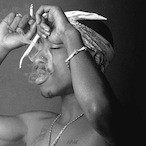 Collector.'s Avatar'