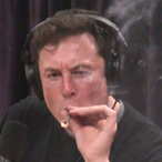 Turtle_Sage's Avatar'