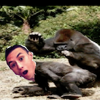 ImTheRealDangle's Avatar'