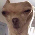 Jemole_'s Avatar'
