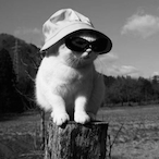 glomiiy's Avatar'