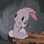 zwhq's Avatar'