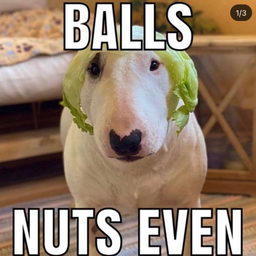IllIIIlllIlllI