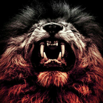 Vibinglotus474's Avatar'