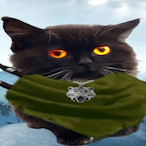Tiktok-on12cl's Avatar'