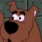 CactusZorius's Avatar'