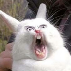 Unabated2964's Avatar'