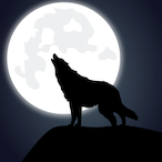 VeilLifted.'s Avatar'