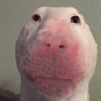 Wired_AirpodsV22's Avatar'