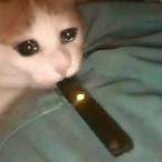 Crippppled's Avatar'