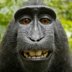 Dairly.Hicks's Avatar'
