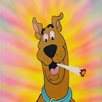 Scooby496's Avatar'