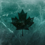 zacharyrules123's Avatar'