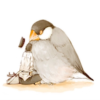 U_SBR's Avatar'