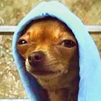 ODEIOCOMUNISTA's Avatar'