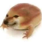 Mhob_Peep.mp3's Avatar'