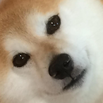 That1oldcookie's Avatar'