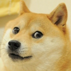 BORZU_'s Avatar'