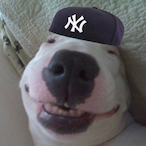 FunkGoesOn's Avatar'
