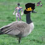 Goose_Gaming__'s Avatar'