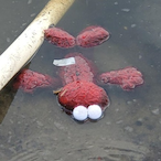 Muha is out's Avatar'