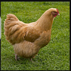 Deeman321383's Avatar'