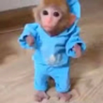 DemonBaby.'s Avatar'