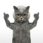 LSOT_Shine's Avatar'