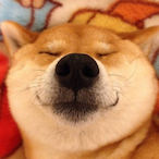 M870.rush.D's Avatar'