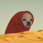 MatheoGenius's Avatar'