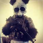 Battlepandax2's Avatar'