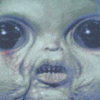 PiitoGordo69's Avatar'