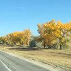 akennedy2906's Avatar