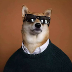 Mr_rui's Avatar'