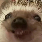dontcontest-_7's Avatar'