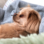 okeihan_kenS's Avatar'