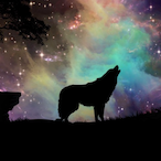 Somg_doggyboss's Avatar'